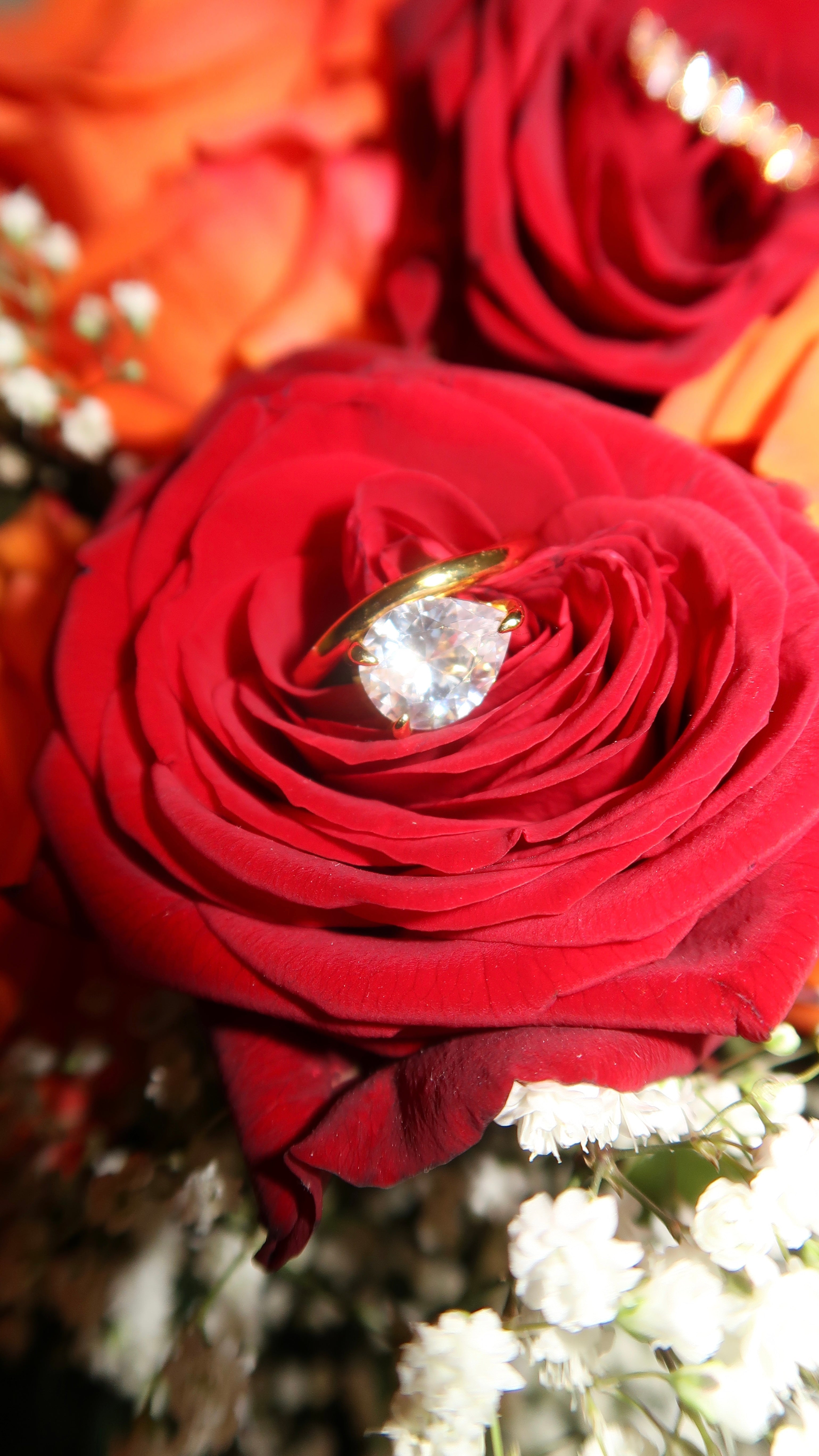 Amora – Curve of Light Ring