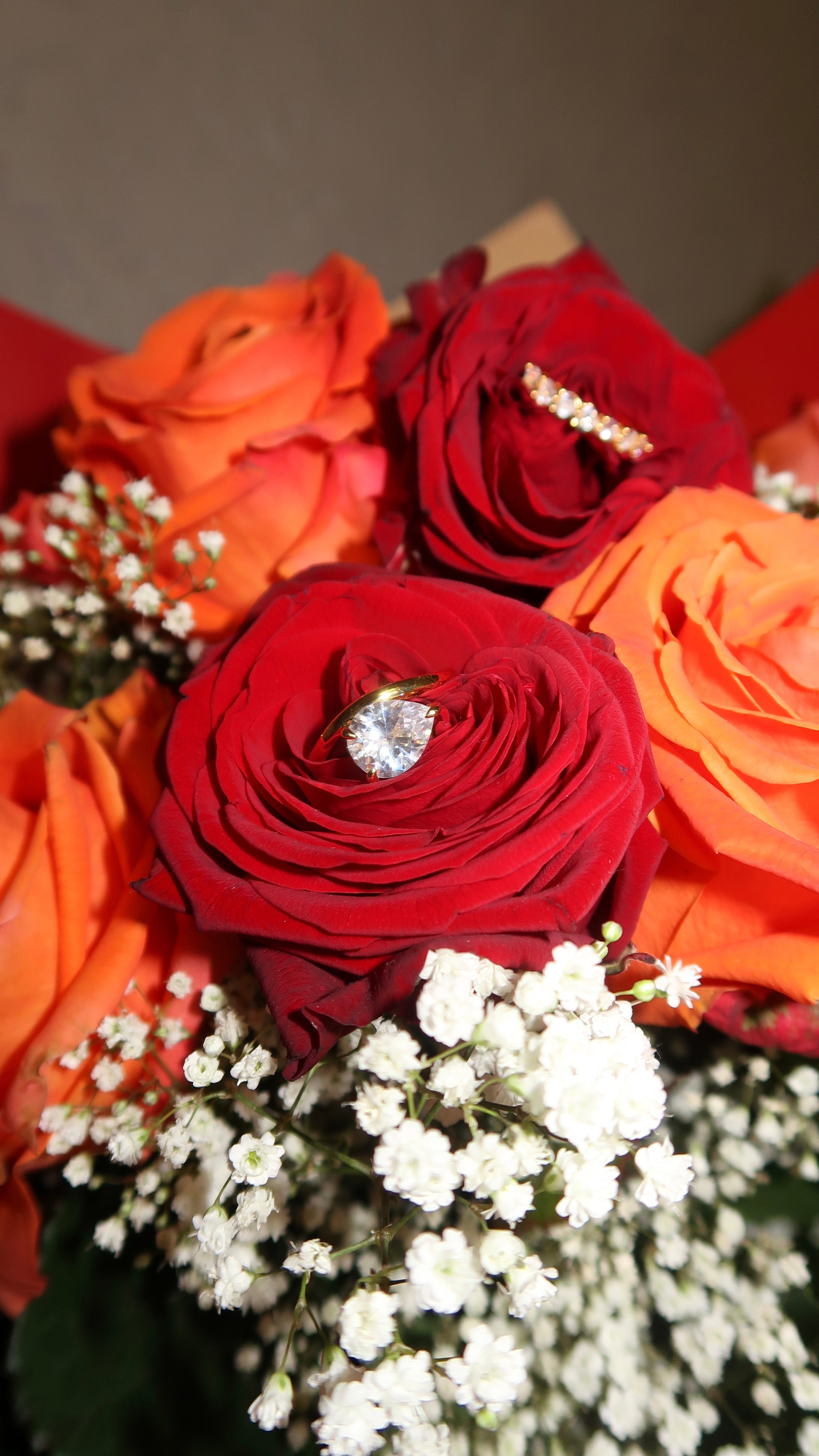 Amora – Curve of Light Ring